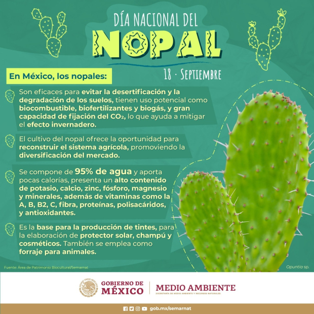 Cada 18 de septiembre en México se celebra el Día Nacional del Nopal.