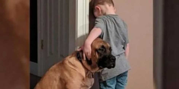 Perro se solidariza con niño castigado contra la pared