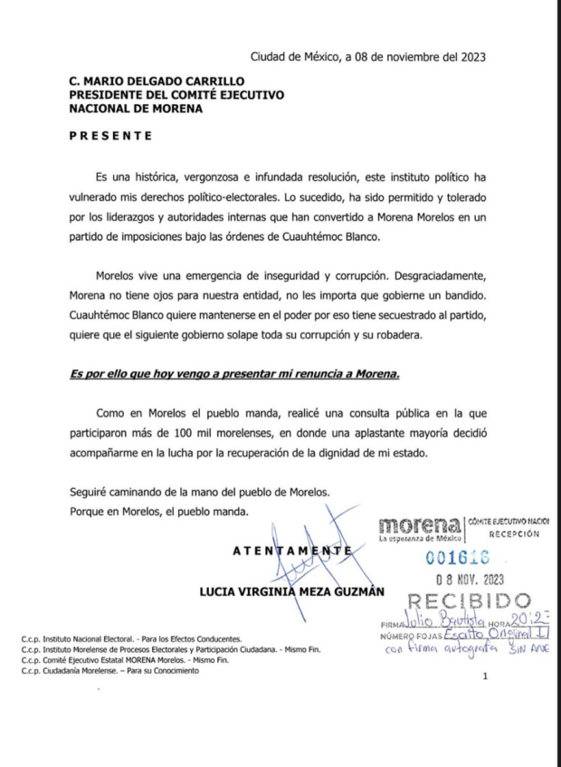 Senadora Lucía Meza renuncia a Morena.