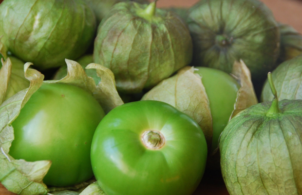 Aumenta de precio el chile poblano y el tomate verde.