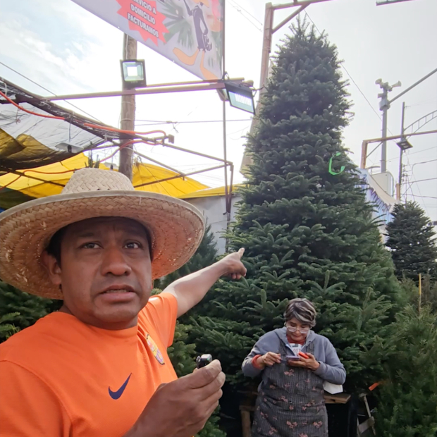El Mercado de Jamaica tiene gran variedad de árboles de Navidad.