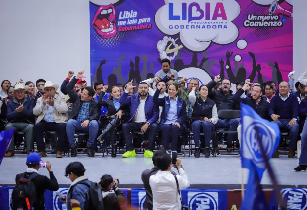 Con trabajo y dedicación vamos a resolver los problemas de Guanajuato: LIBIA