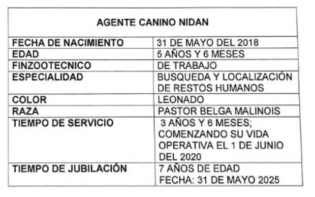 Adiós a 'Nidan'; Lamentan pérdida del agente canino que participó en búsqueda y rescate de víctimas por Otis en Guerrero