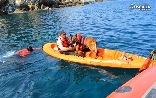 Una imagen del agente canino Nidan en una embarcación