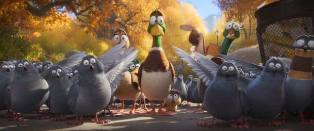 La película muestra la migración  de los patos de Estados Unidos.