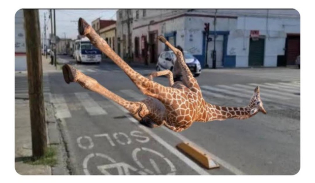 Los memes de la jirafa Benito llegando a Puebla