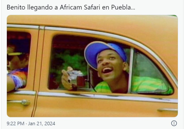 Memes de la jirafa Benito llegando a Puebla