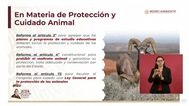 Las reformas de AMLO contra el maltrato animal se enviaron el 5 de febrero.