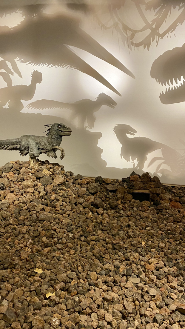 Los modelos muestran cómo podían ser los dinosaurios en realidad.