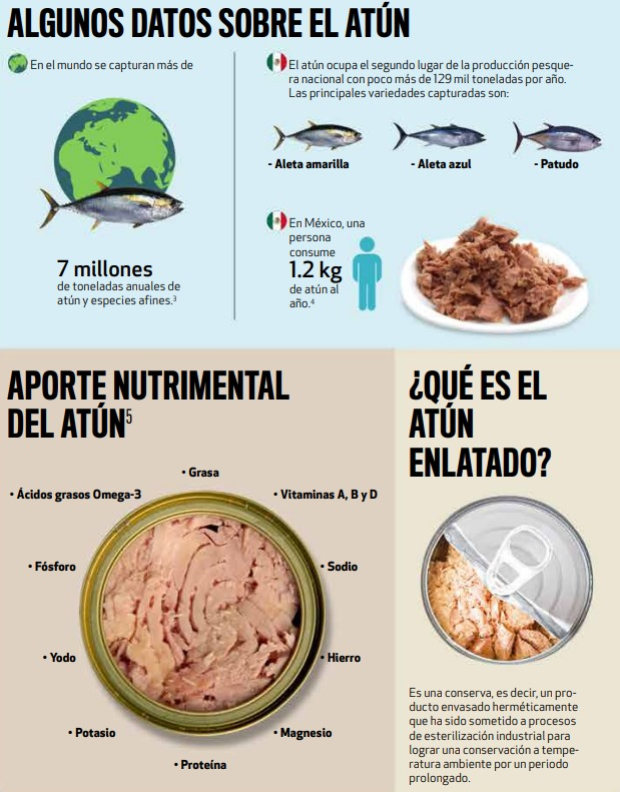 Un mexicano consume 1.2 kilos de atún al año.