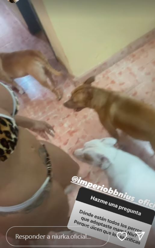Niurka muestra a sus perritos