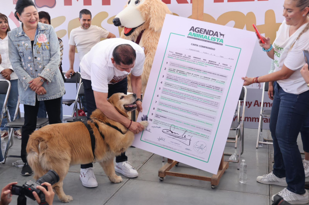 Representantes de asociaciones protectoras y candidatos a regidores respaldan la iniciativa de Armenta en pro de los animales.