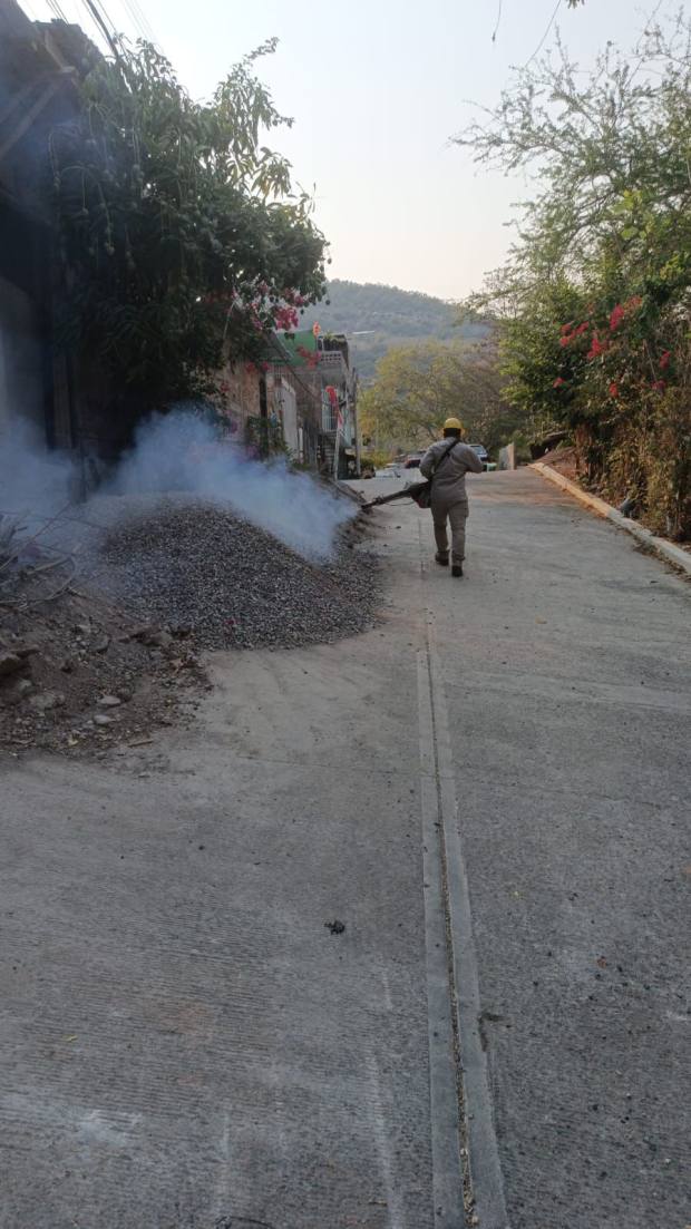 Autoridades de Guerrero mantienen acciones de control del dengue.