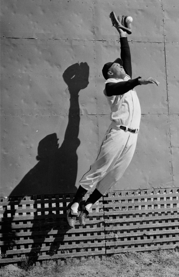 El jardinero central de los New York Giants, Willie Mays, salta alto para atrapar una pelota cerca de la cerca del jardín el 29 de febrero 1956