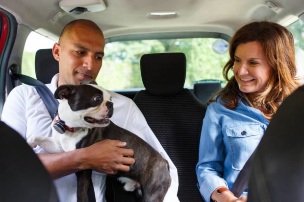 Uber Pet México ya está disponible. ¡Así podrás viajar con tu mascota!