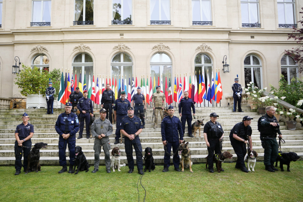 Agentes extranjeros refuerzan operativo de seguridad con apoyo canino, experto en explosivos.