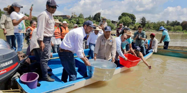 El gobernador de Michoacán, Alfredo Ramírez Bedolla, solicitará al Instituto Mexicano de la Propiedad Industrial (IMPI), la denominación de origen del pez blanco.