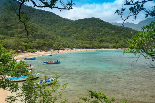 Playa cristal resalta por estar entre una extensa vegetación.