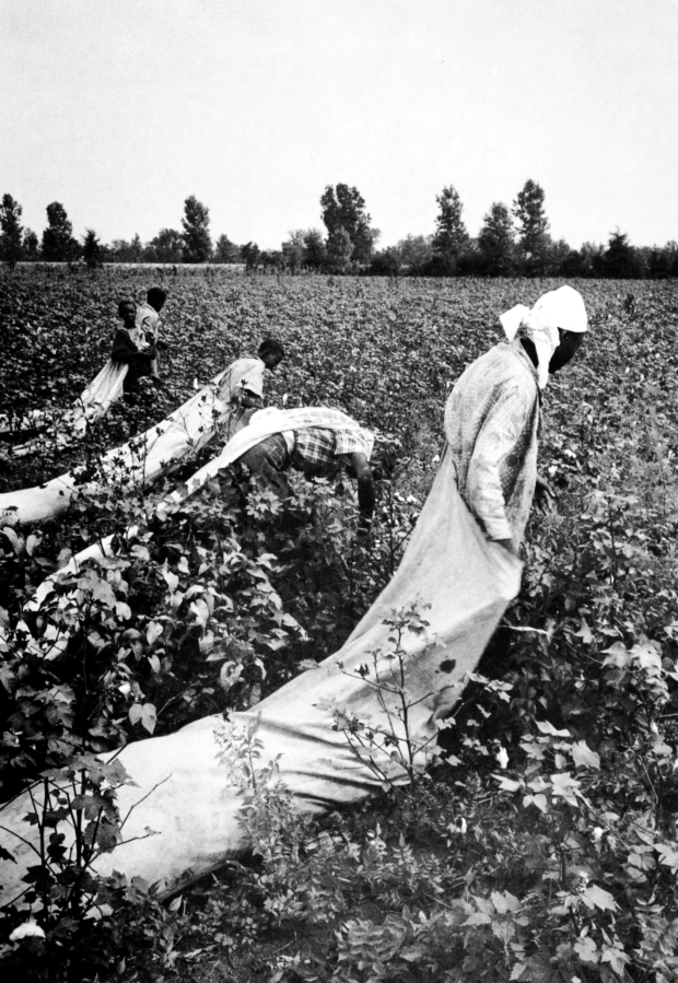 Esclavos trabajando en el campo