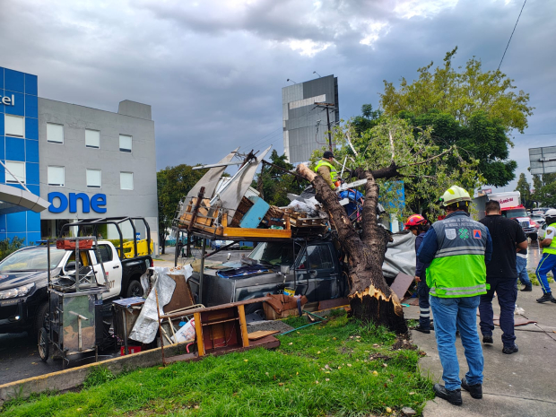 Un árbol cayó sobre una camioneta; bomberos acudieron al lugar.