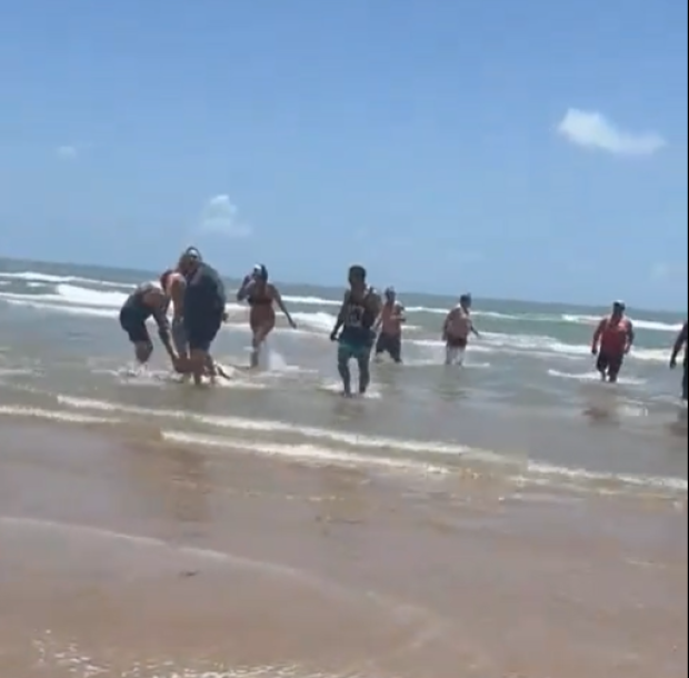 El 4 de julio se registró un ataque de tiburón en la Isla del Padre, cerca de la ciudad de Brownsville, Texas; una mujer resultó gravemente herida.