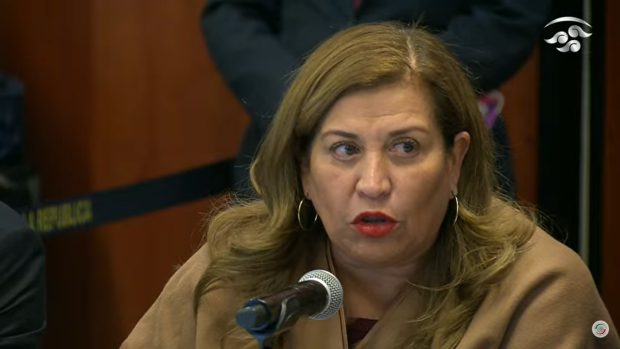 Judith Díaz, senadora de Morena