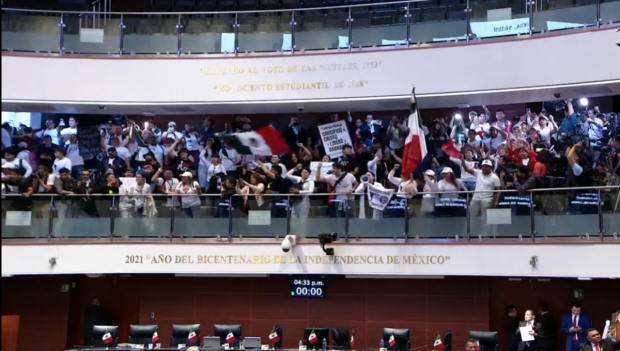 Manifestantes contra la reforma al Poder Judicial ingresaron al Senado.