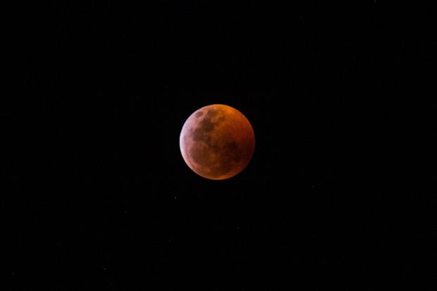 Esta noche podrás ver la superluna, fenómeno natural con el qu ela luna se ve más grande