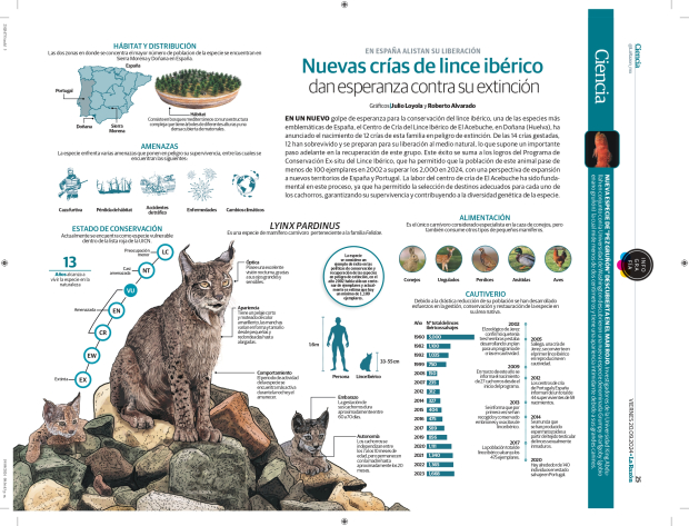 Nuevas crías de lince ibérico dan esperanza contra