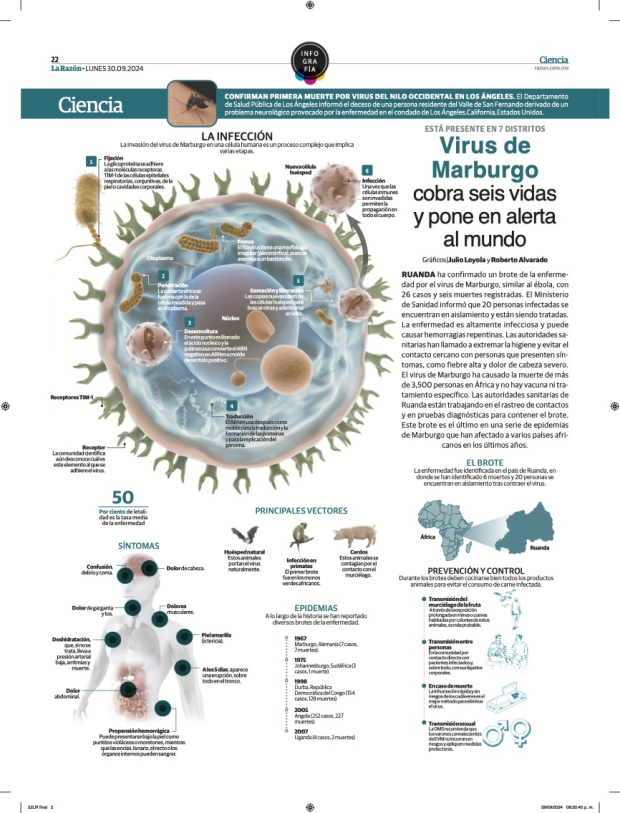 Virus de Marburgo