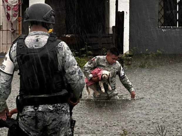 Al momento se encuentran en las zonas de desastre 13 mil 500 elementos