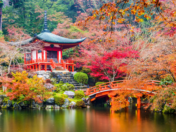 Disfruta de los impresionantes paisajes de otoño.