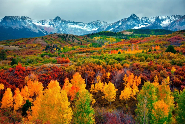 Disfruta de los impresionantes paisajes de otoño.