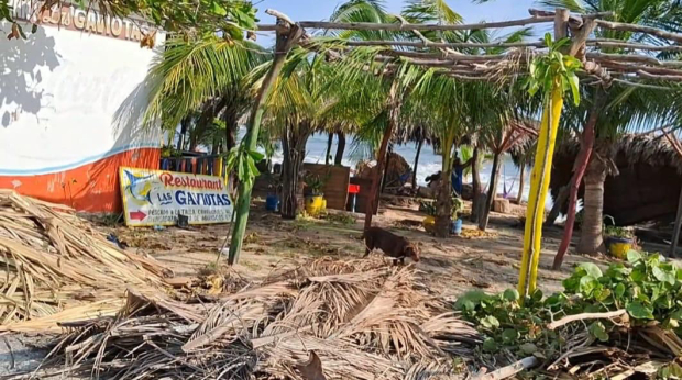 Policarpo verónica Tejada, dueño de Las Gaviotas.