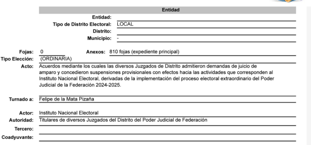 El INE presentó la demanda contra las suspensiones de las elecciones