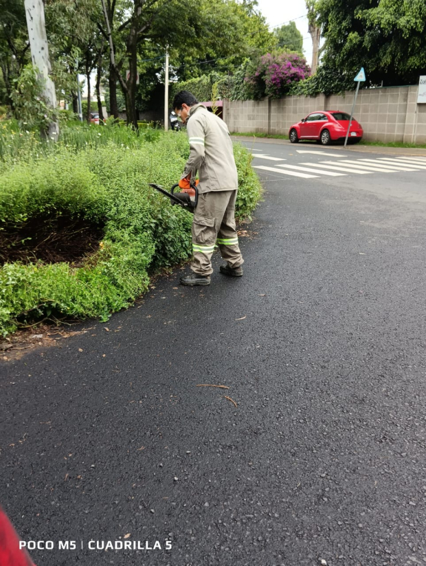 Los trabajos de rehabilitación en Boulevard de la Luz mejoran el entorno urbano y fomentan la convivencia en Álvaro Obregón.