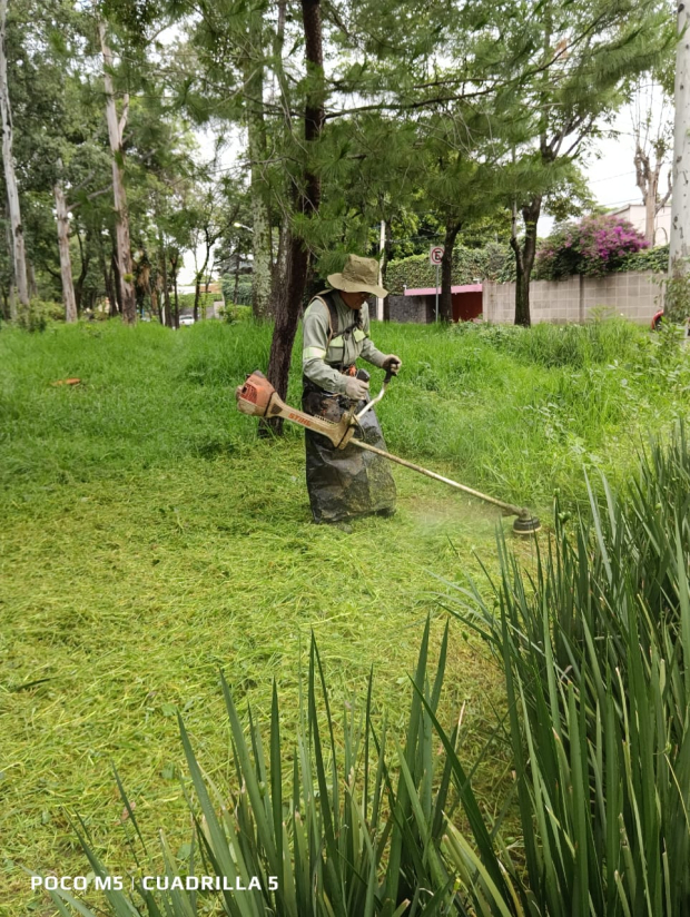 Trabajadores locales inician la rehabilitación de áreas verdes en Álvaro Obregón, cumpliendo la promesa de mejorar los espacios públicos de la alcaldía.