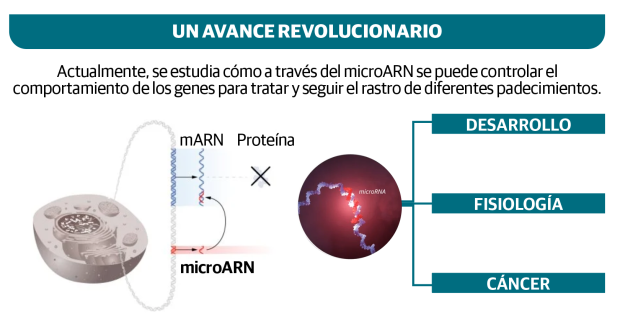 Gráfico