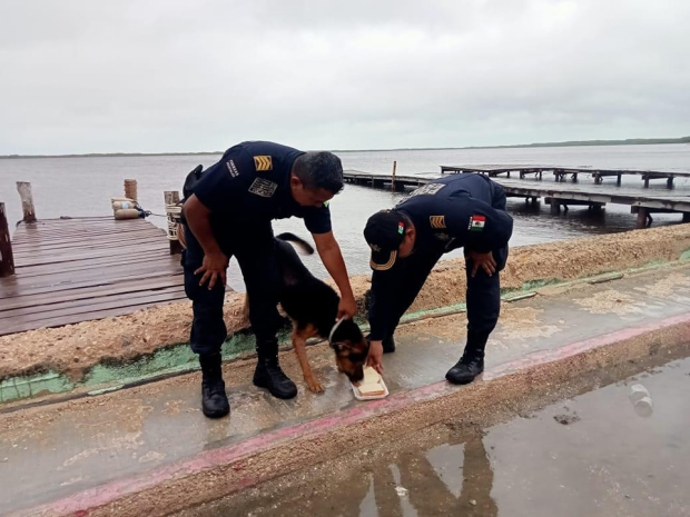 El perrito fue alimentado también por los policías.