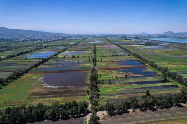 Avanza Mixquic tras inundaciones; la jefa de Gobierno, Clara Brugada, visitó el ejido.