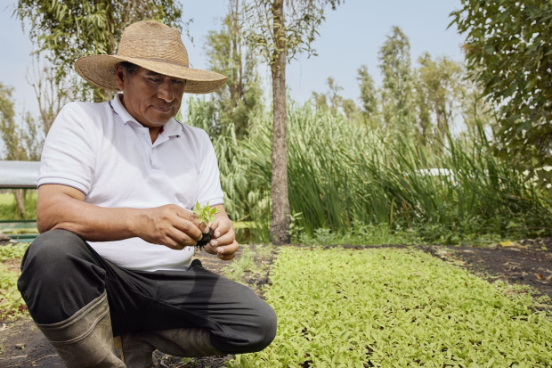 Algunos de los productores que participan en la serie Desde la raíz, narrada por Jaime Camil.