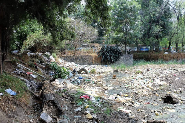 Sitio de Xochimilco en abandono, por lo que es usado como basurero.