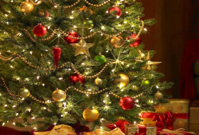Cuándo se debe de poner el árbol de Navidad? ¡Aquí te decimos!