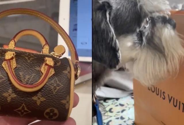 El bolso Louis Vuitton que cuesta millones para recoger popó de su mascota  - Gente - Cultura 