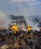 Incendios forestales activos han causado afectaciones en 8 mil 669 hectáreas.