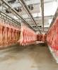 Transnacionales de carnes y lácteos evaden acciones climáticas, acusan
