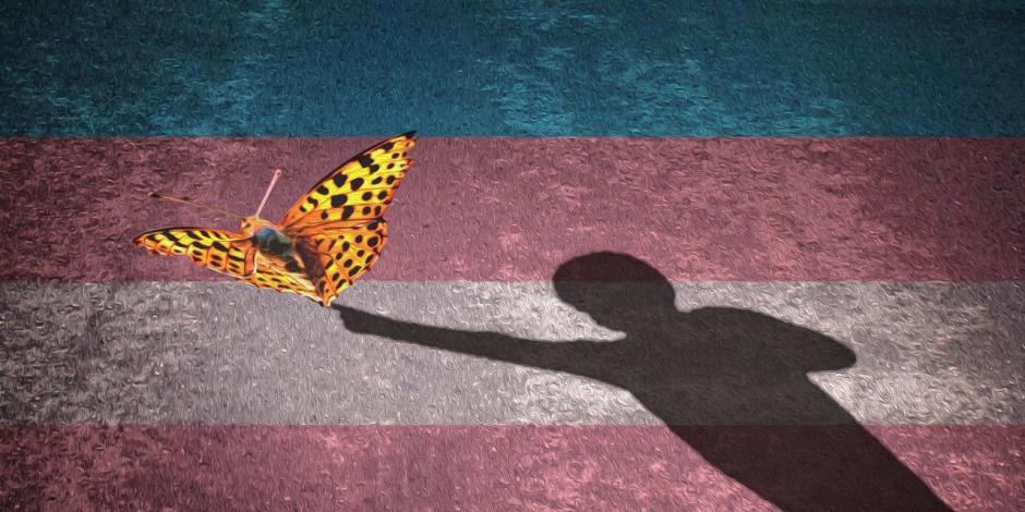 Tania Morales, presidenta de la organización “Infancias Trans”, informó que la petición en change.org se realizó desde mayo de 2020, al ver que en el Congreso local hubo resistencia en la presentación del dictamen