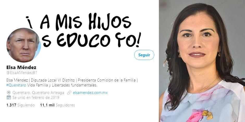 La cuenta de Twitter de la diputada independiente de Querétaro Elsa Adané Méndez Álvarez.