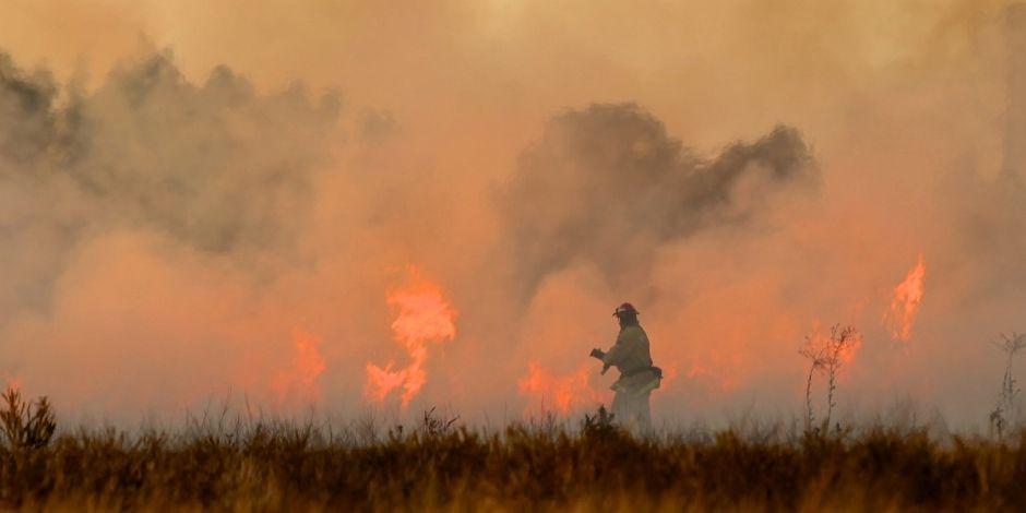 Un brigadista combate un incendio forestal