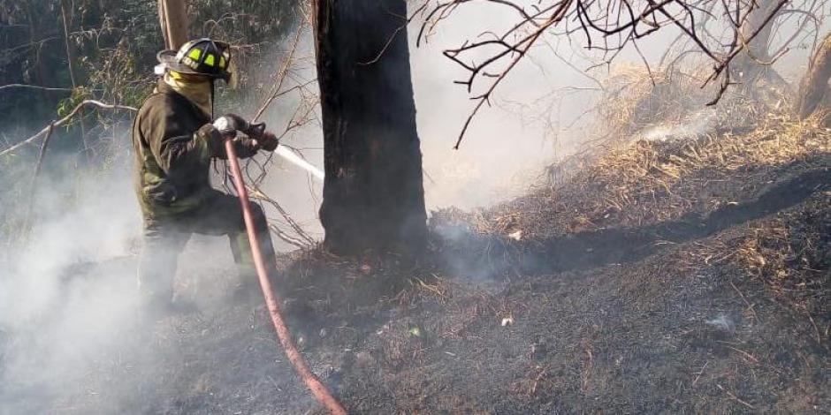 Incendio en Bosque de Chapultepec está siendo atendido por los bomberos de la Ciudad de México